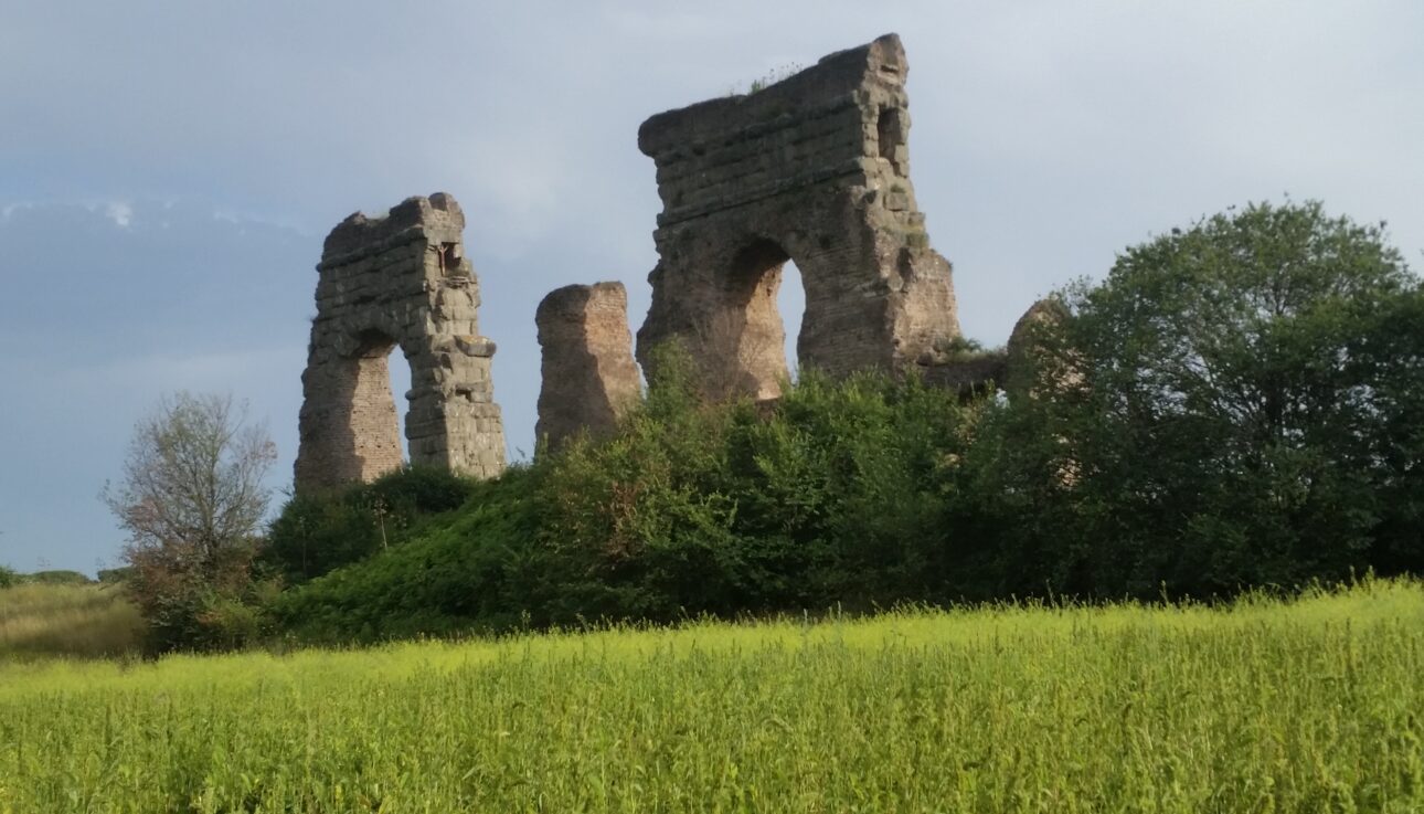 Remnants of aqueducts sit in the field.