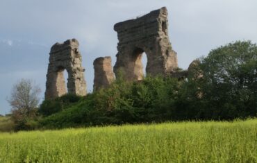 Remnants of aqueducts sit in the field.