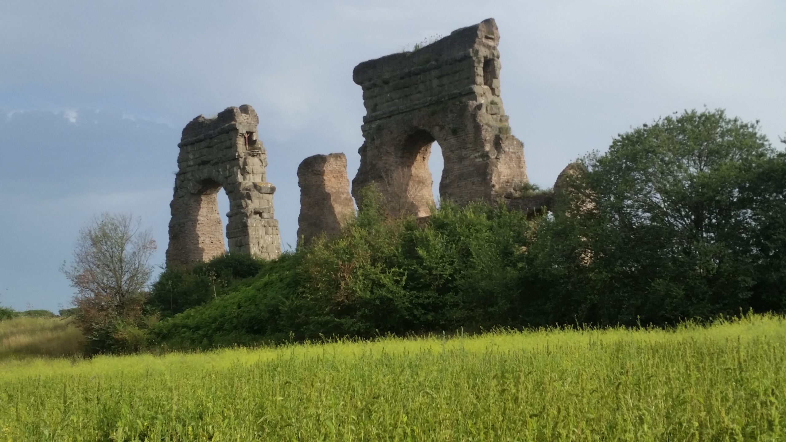 Remnants of aqueducts sit in the field.