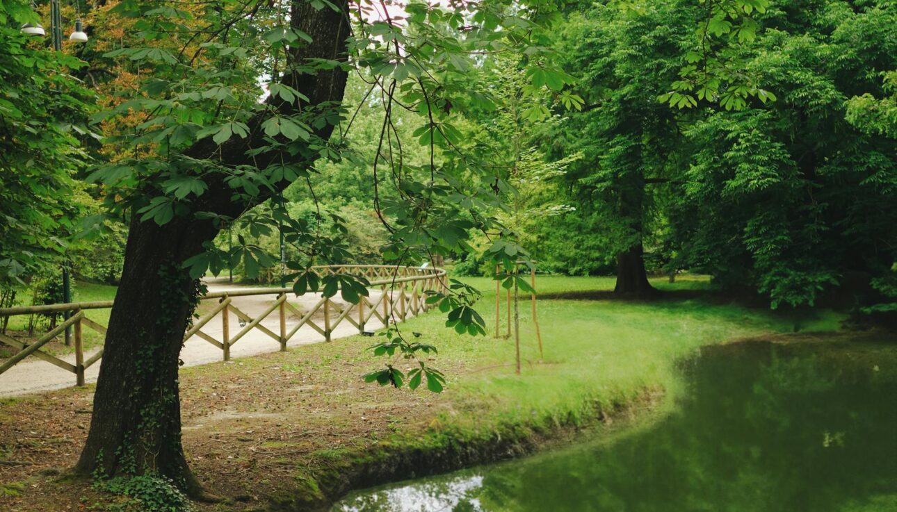 pond in a park in Milan