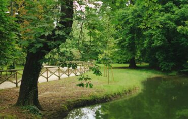 pond in a park in Milan