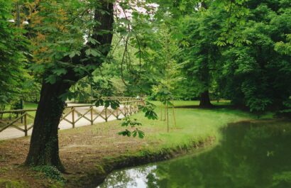 pond in a park in Milan