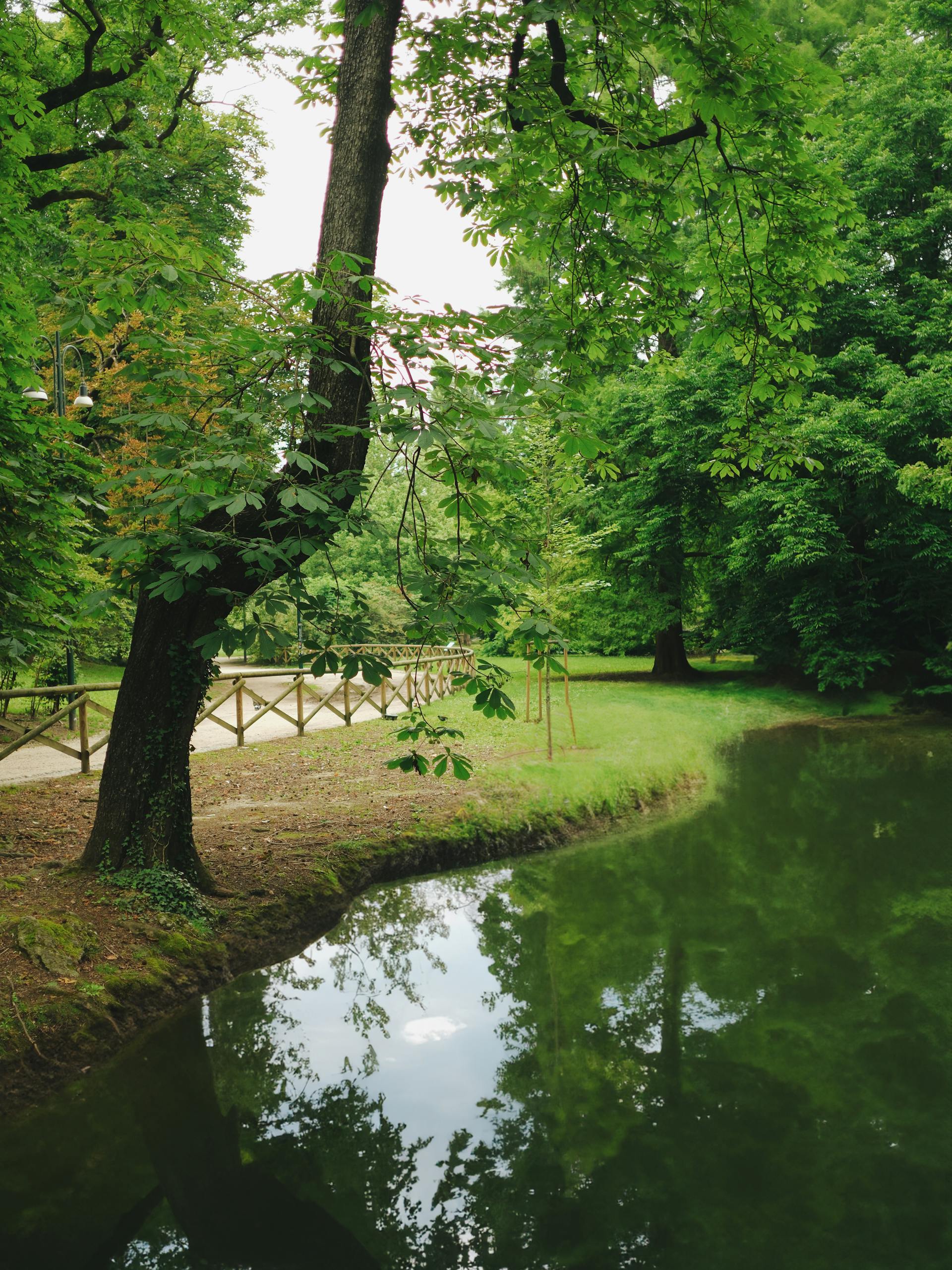 pond in a park in Milan