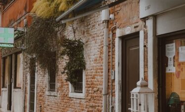 Greenery creeps over crumbling brick wall.
